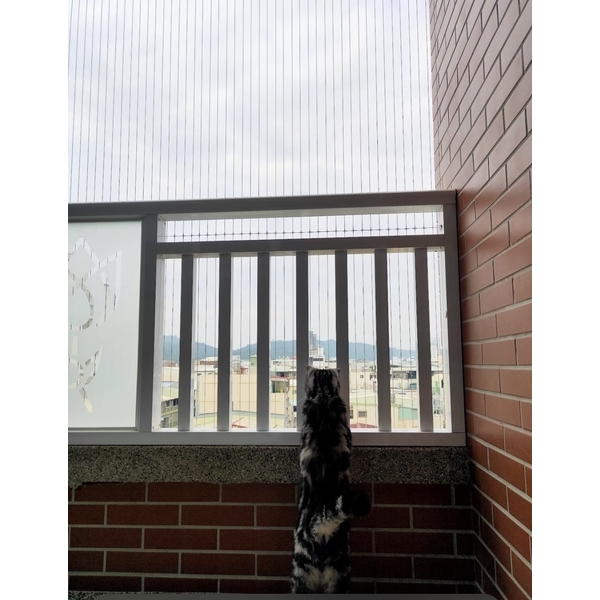 防貓墜隱形鐵窗實績